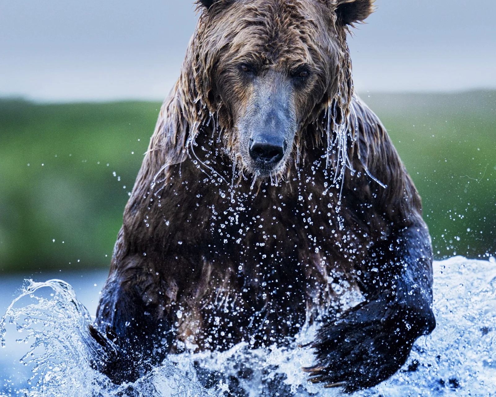 Gone Fishing (colour)