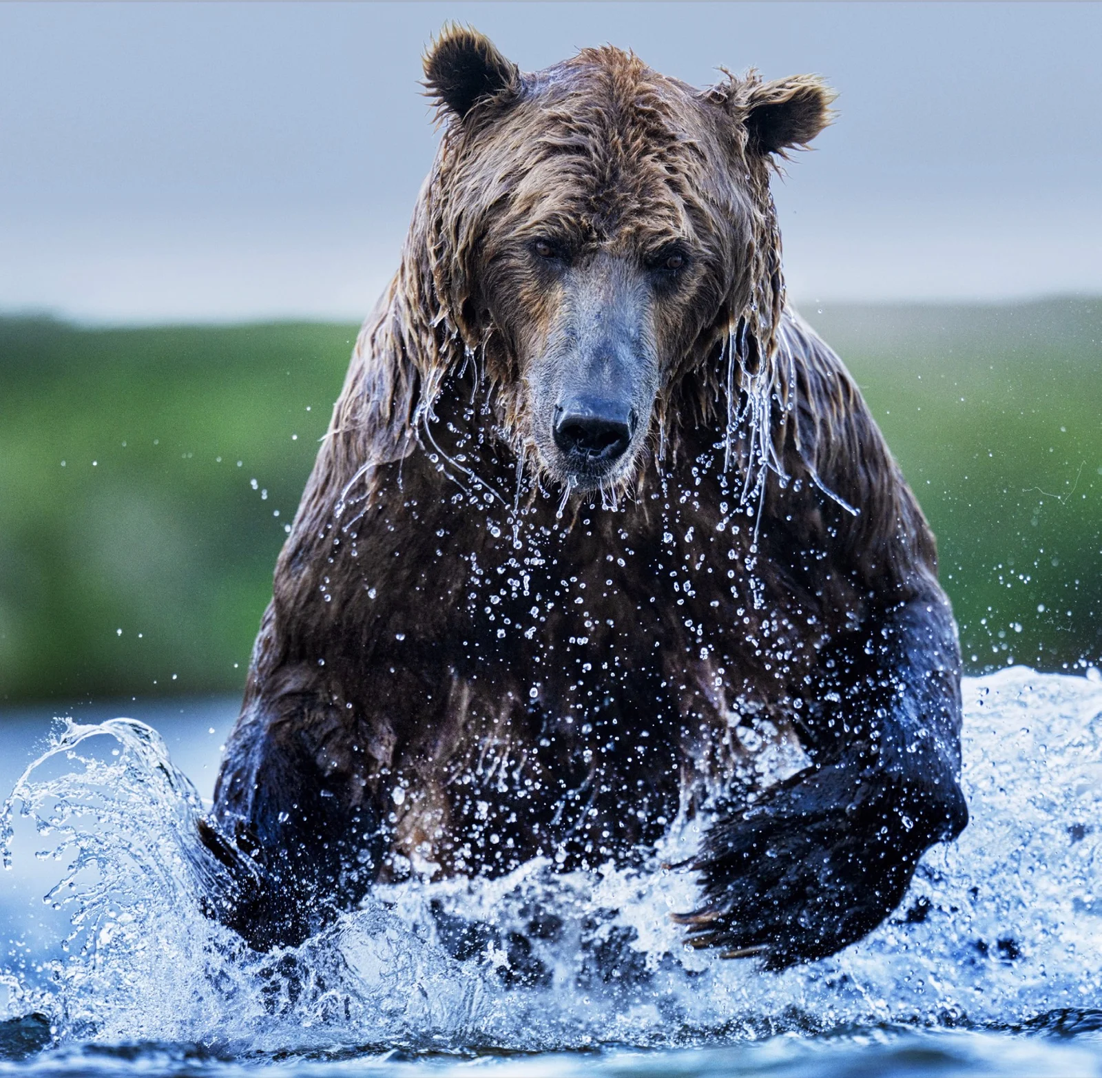 Gone Fishing (colour)