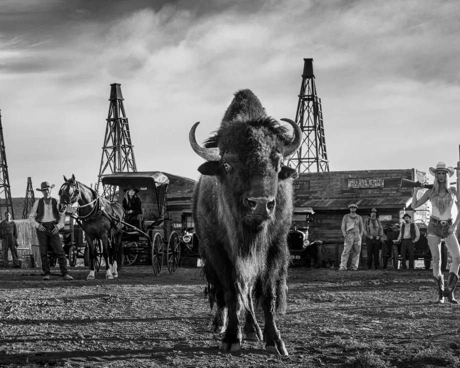 Bison Oil and Gas by David Yarrow – Fine Art Photograph of Cowboys and Buffalo in Wild West – Available at Hilton Contemporary Gallery Chicago
