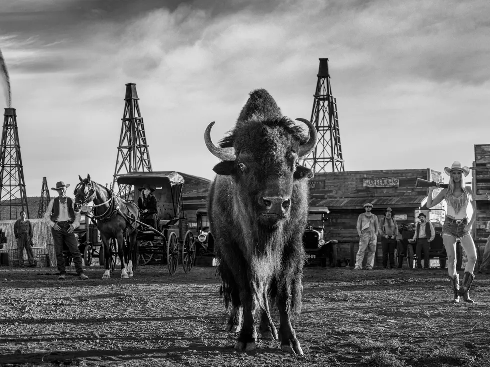 Bison Oil and Gas by David Yarrow – Fine Art Photograph of Cowboys and Buffalo in Wild West – Available at Hilton Contemporary Gallery Chicago