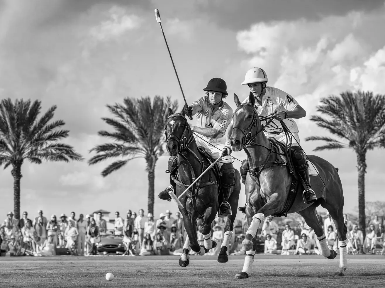 Wellington by David Yarrow – Equestrian Fine Art Photograph – Available at Hilton Contemporary Gallery Chicago