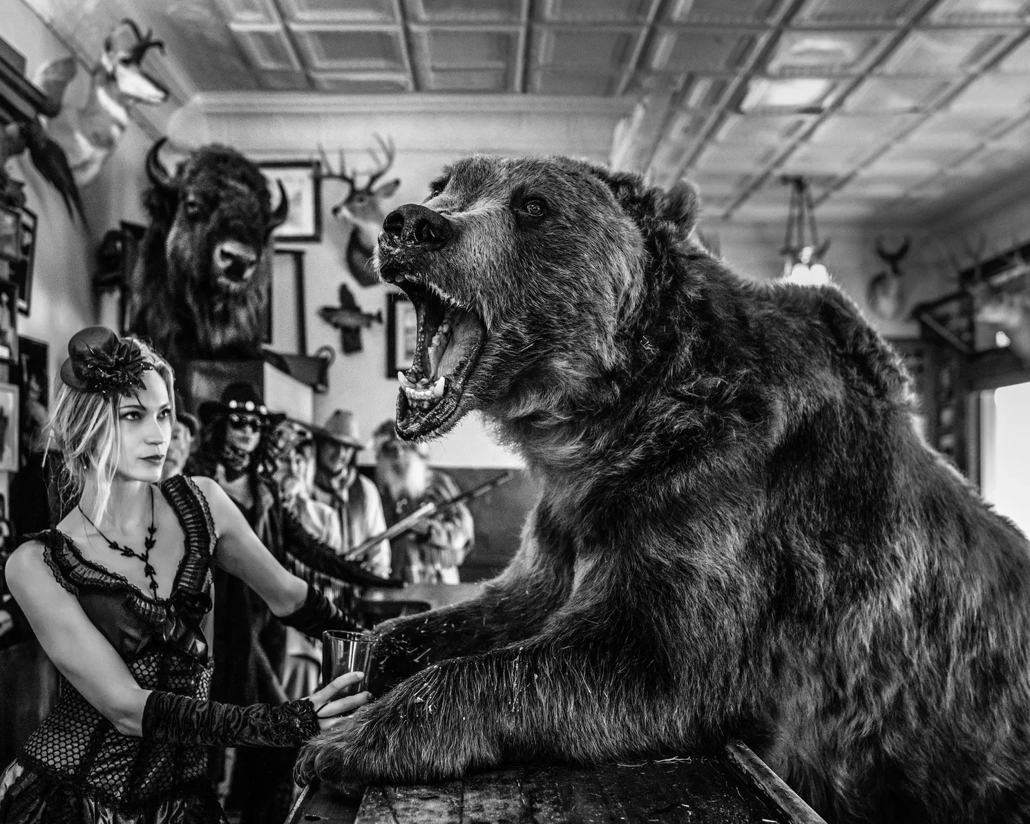 Where's My Lunch by David Yarrow – Fine Art Photograph of Brown Bear Sitting at a Bar – Available at Hilton Contemporary Gallery Chicago