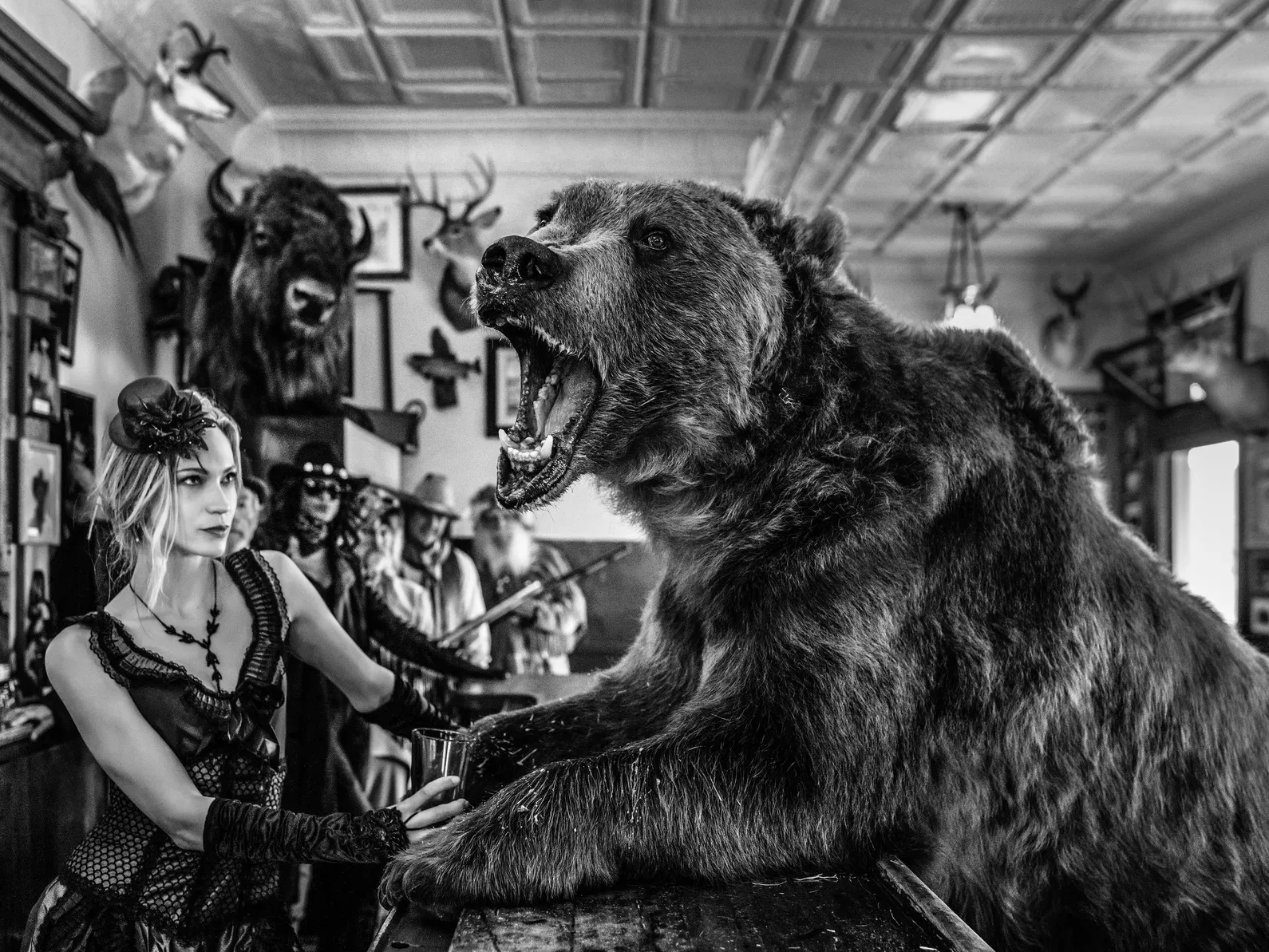 Where's My Lunch by David Yarrow – Fine Art Photograph of Brown Bear Sitting at a Bar – Available at Hilton Contemporary Gallery Chicago