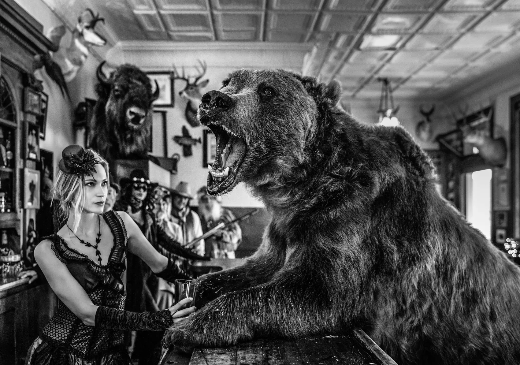 Where's My Lunch by David Yarrow – Fine Art Photograph of Brown Bear Sitting at a Bar – Available at Hilton Contemporary Gallery Chicago