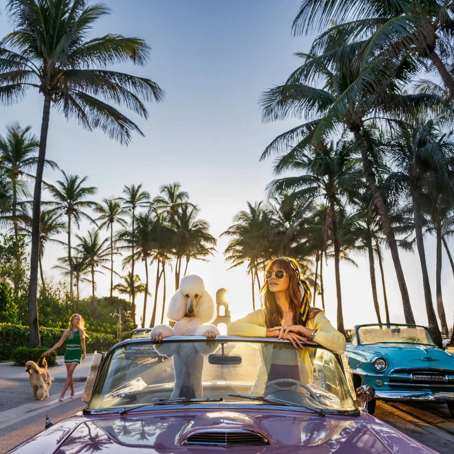 Worth Avenue by David Yarrow – Fine Art Photograph of Poodle in a Car With Model – Available at Hilton Contemporary Gallery Chicago