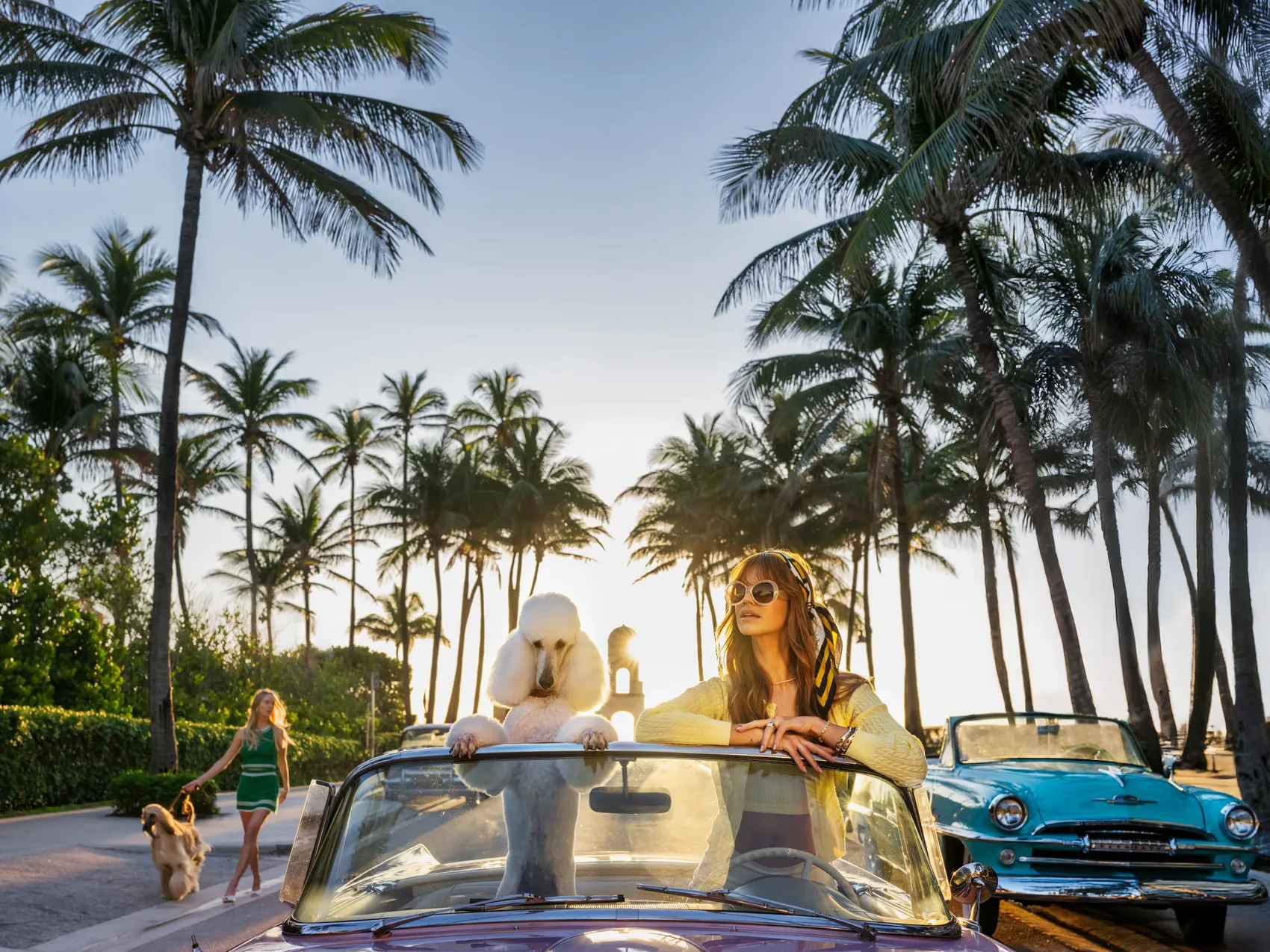 Worth Avenue by David Yarrow – Fine Art Photograph of Poodle in a Car With Model – Available at Hilton Contemporary Gallery Chicago