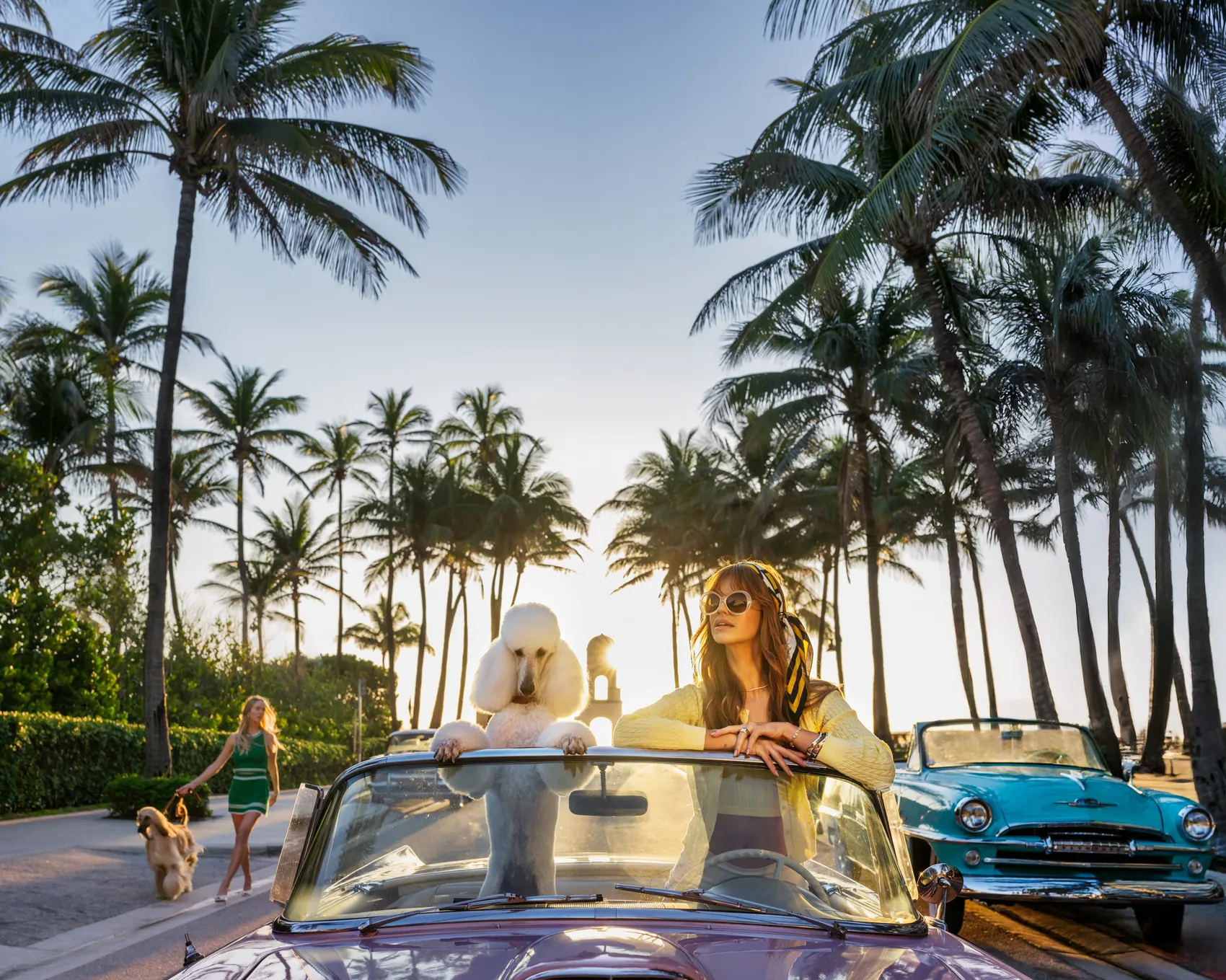 Worth Avenue by David Yarrow – Fine Art Photograph of Poodle in a Car With Model – Available at Hilton Contemporary Gallery Chicago