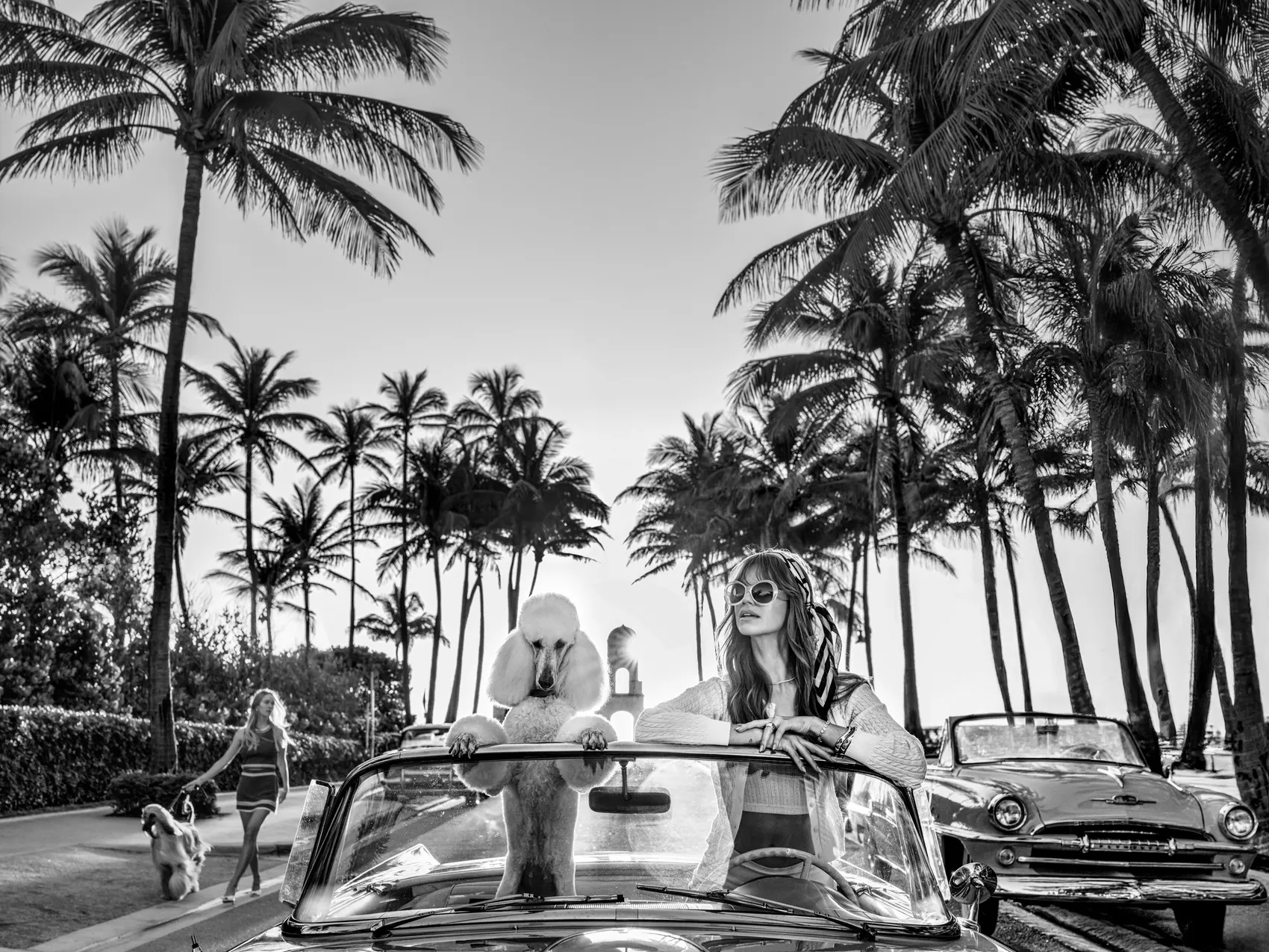 Worth Avenue by David Yarrow – Fine Art Photograph of Poodle in Car With Model – Available at Hilton Contemporary Gallery Chicago