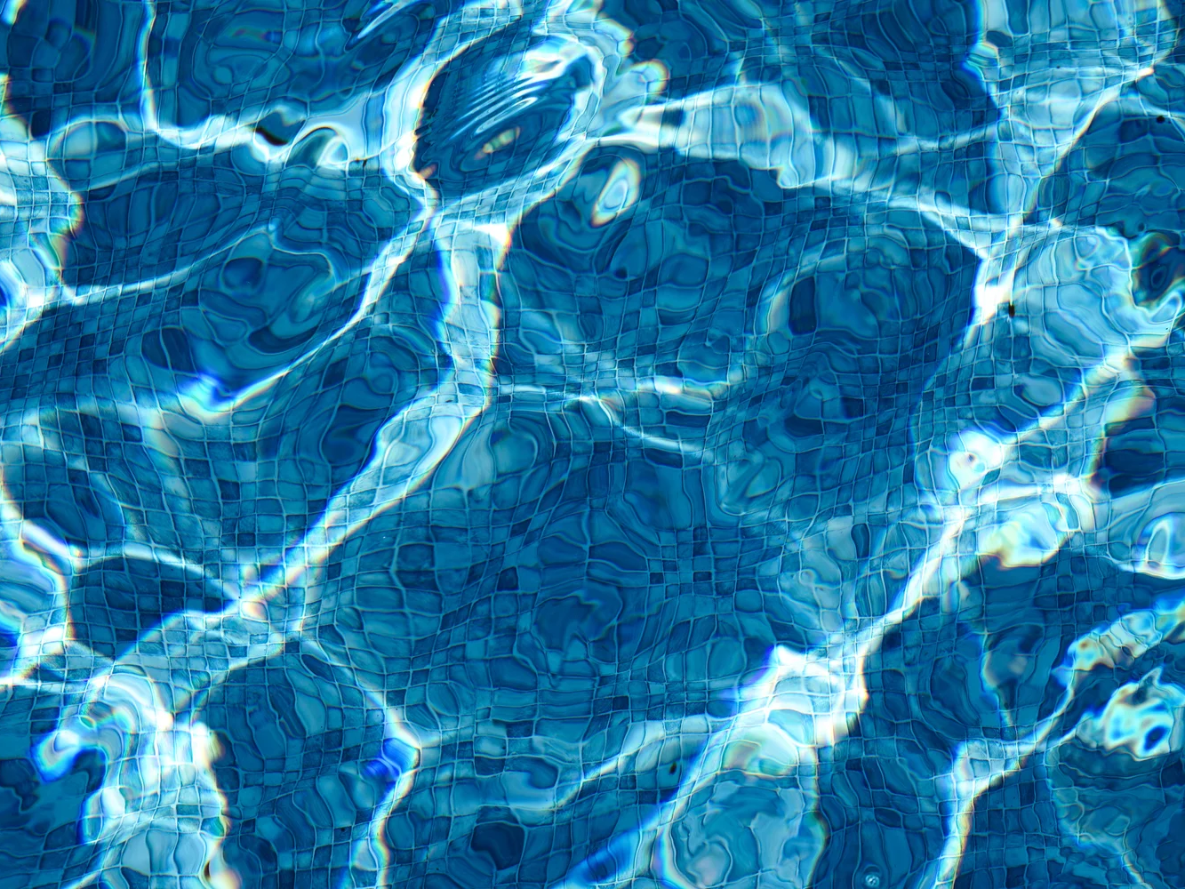 The Pool Five | Bahar Kural | Hilton Contemporary