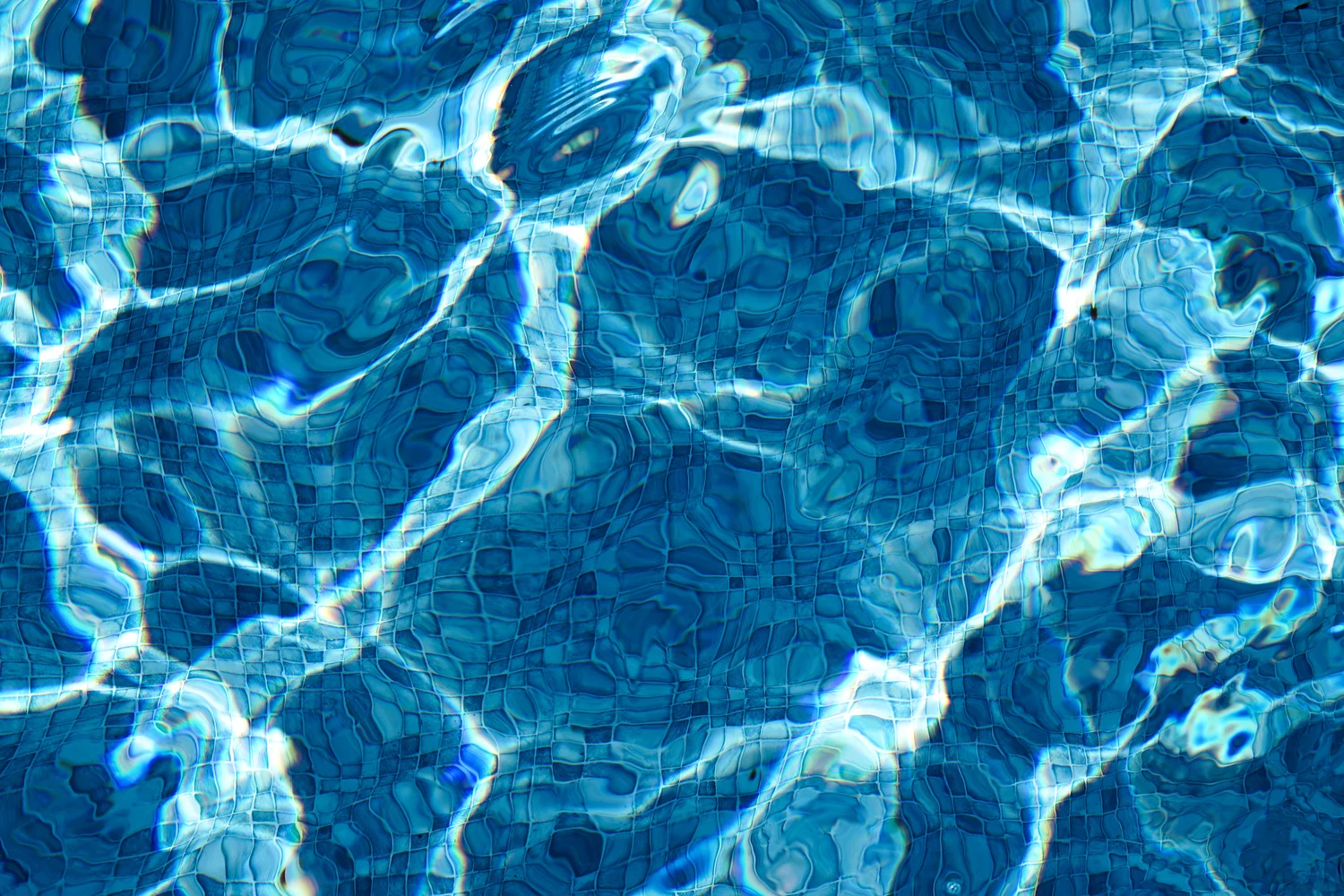 The Pool Five | Bahar Kural | Hilton Contemporary