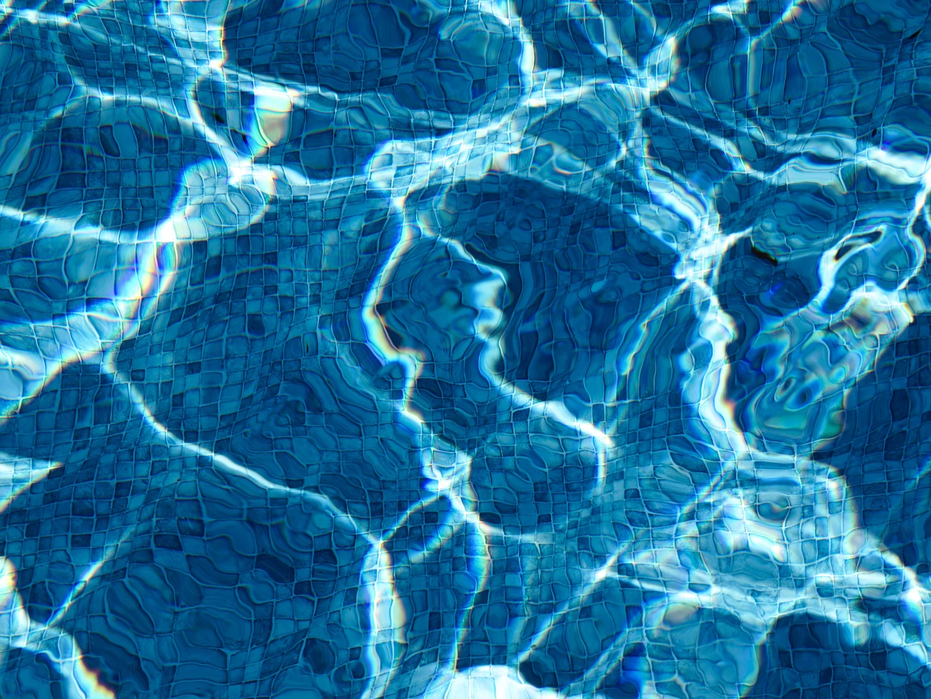 The Pool Four | Bahar Kural |