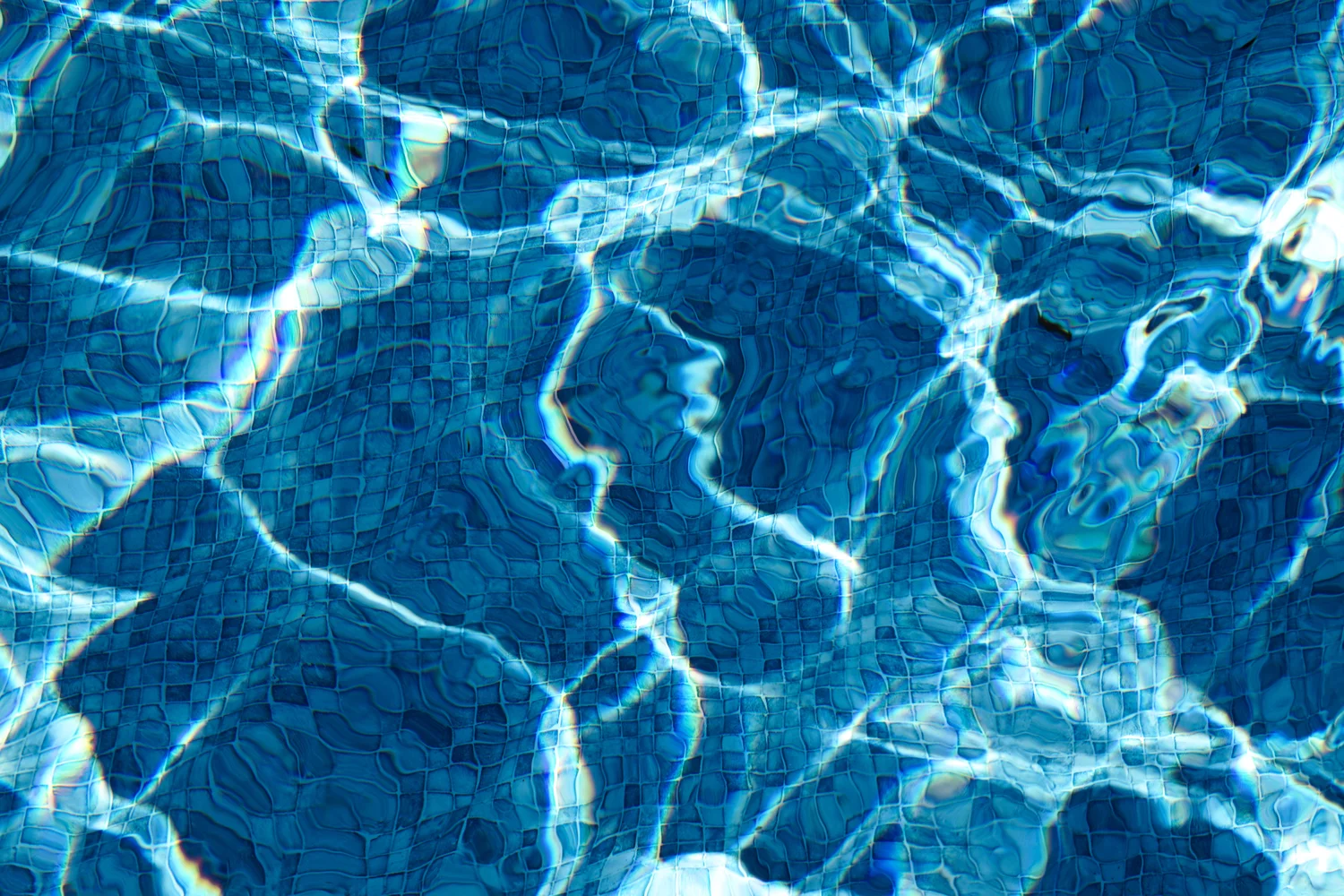 The Pool Four | Bahar Kural |