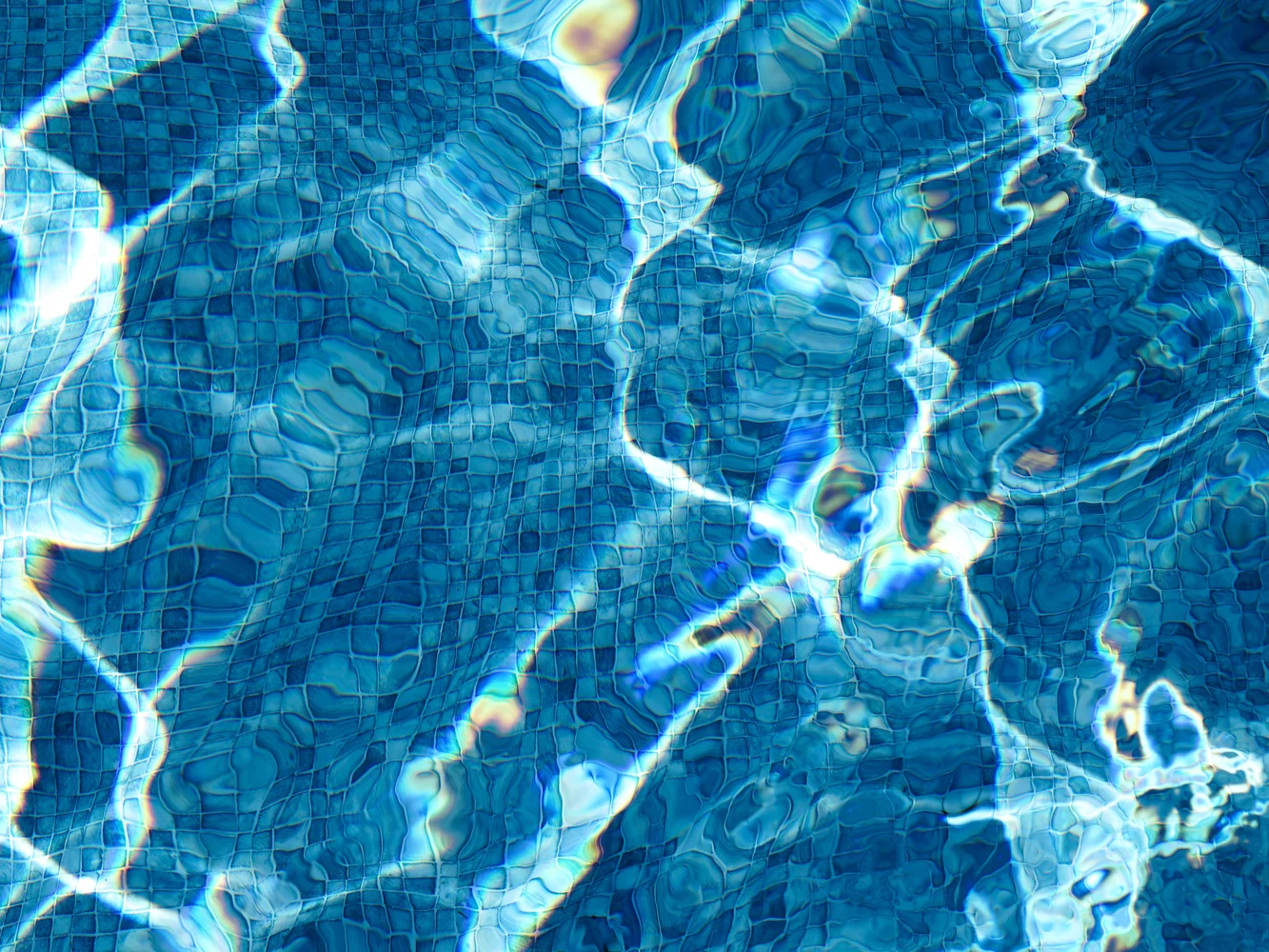 The Pool One | Bahar Kural | Hilton Contemporary