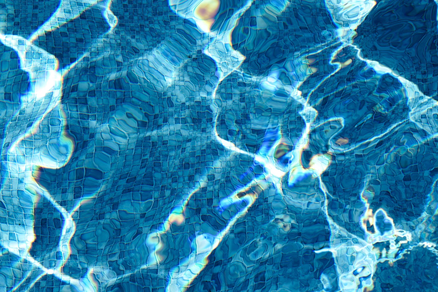 The Pool One | Bahar Kural | Hilton Contemporary