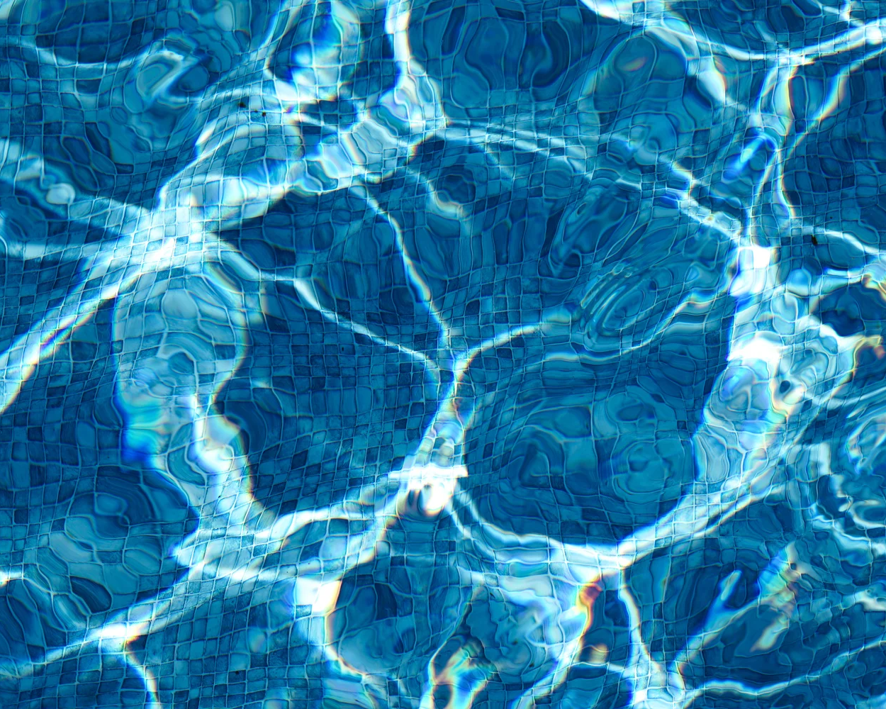 The Pool Six | Bahar Kural | Hilton Contemporary