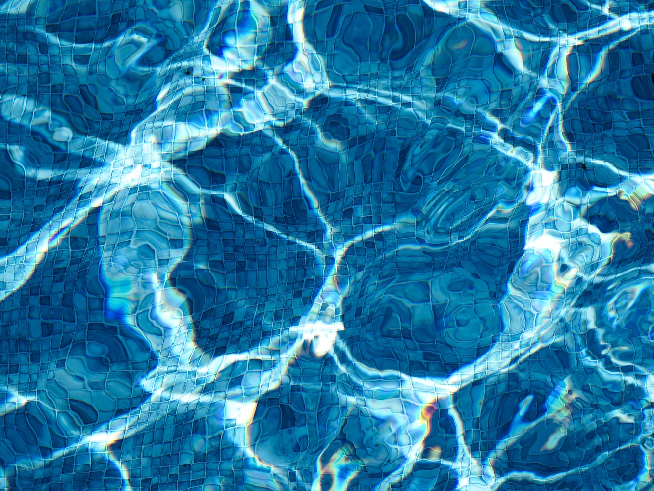 The Pool Six | Bahar Kural | Hilton Contemporary