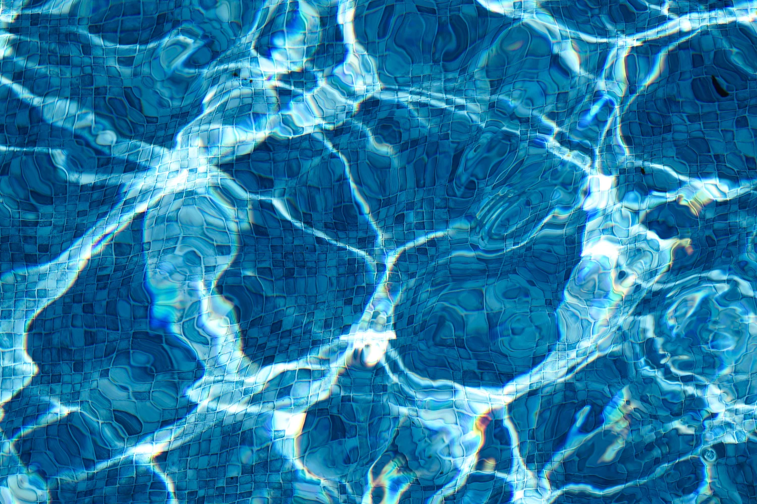 The Pool Six | Bahar Kural | Hilton Contemporary