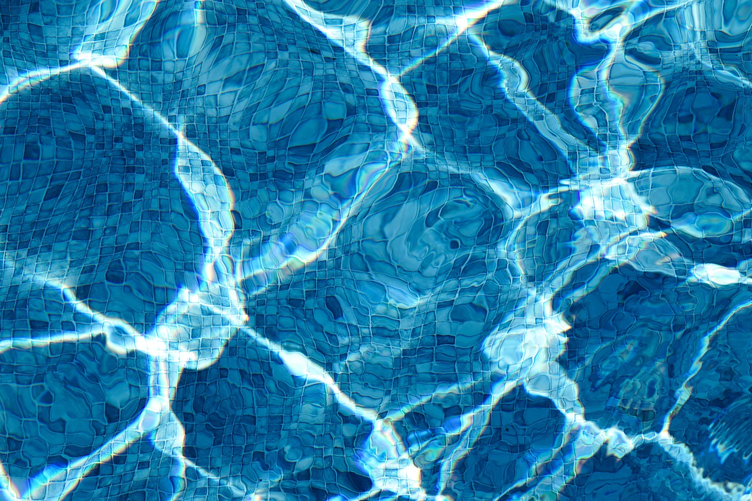 The Pool Two | Bahar Kural | Hilton Contemporary