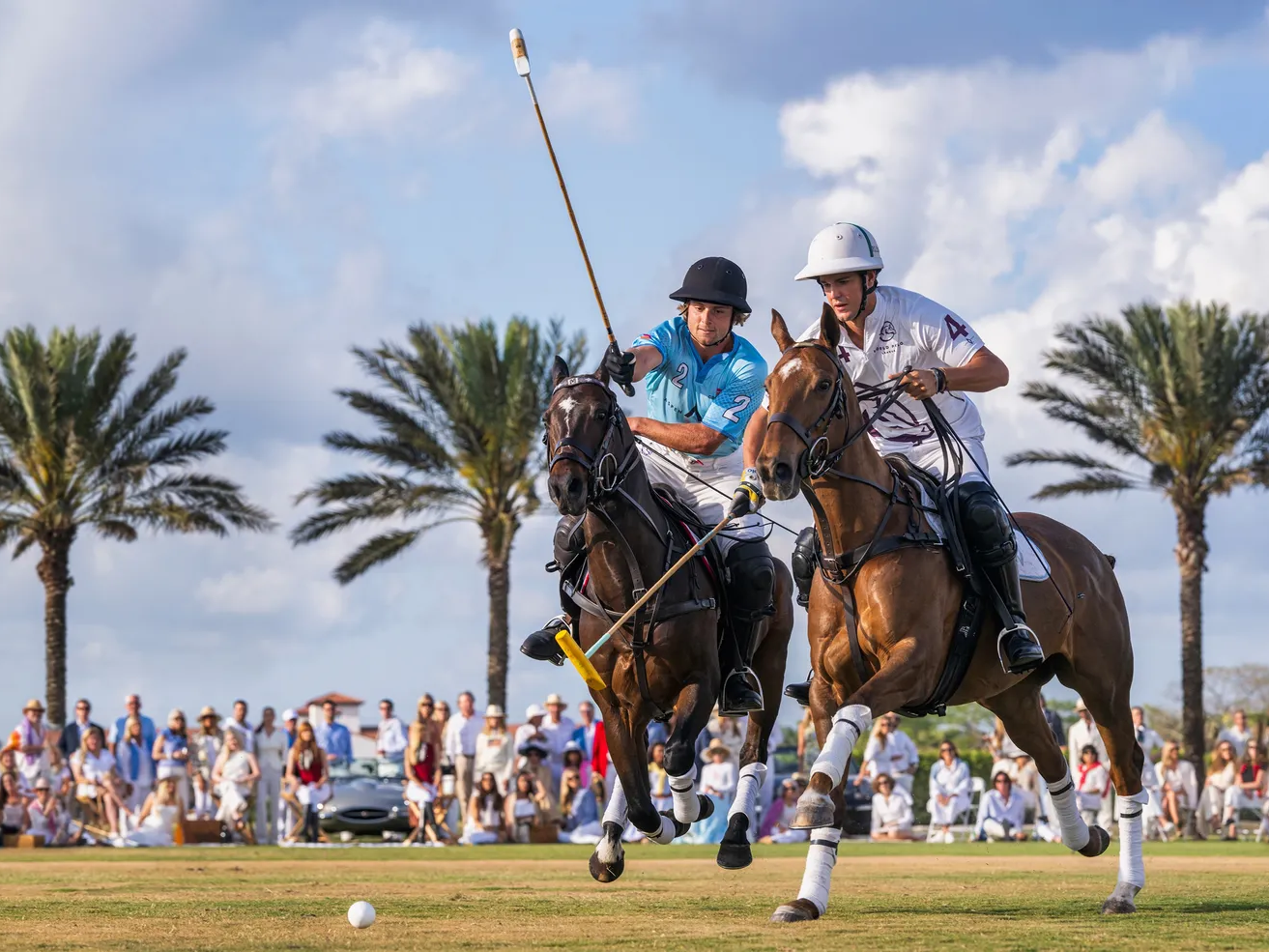 Wellington by David Yarrow – Equestrian Fine Art Color Photograph – Available at Hilton Contemporary Gallery Chicago