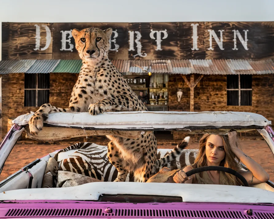 Bad Asses II | David Yarrow