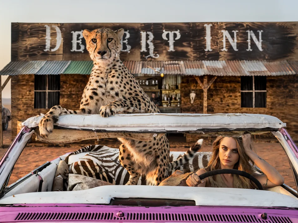 Bad Asses II | David Yarrow