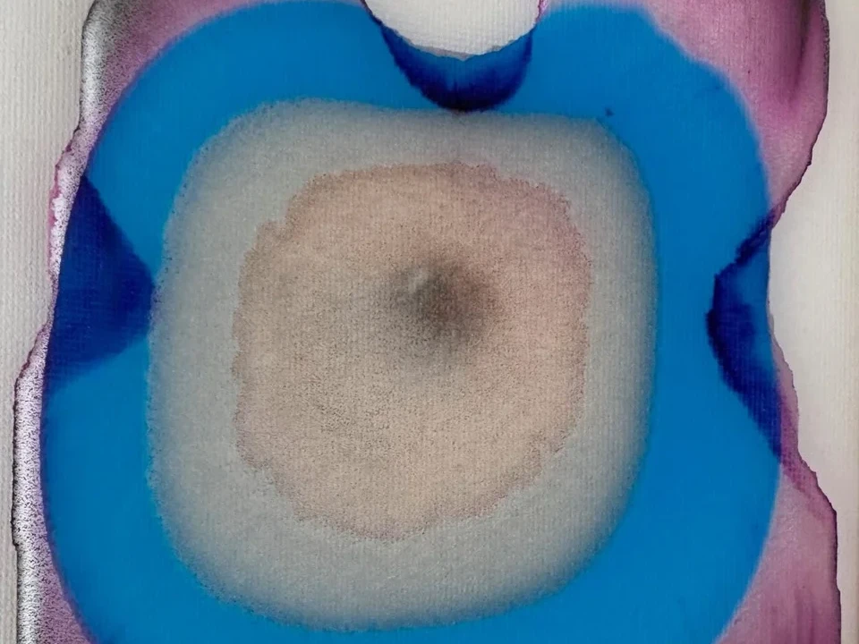 Eclipse | Marie Piselli | Hilton Contemporary