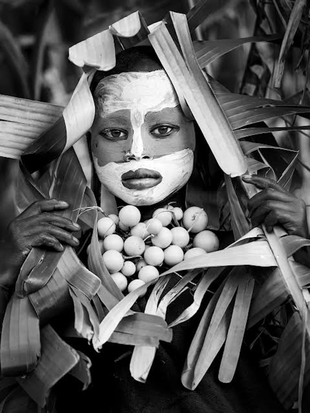 A Little Seed | Cristina Mittermeier