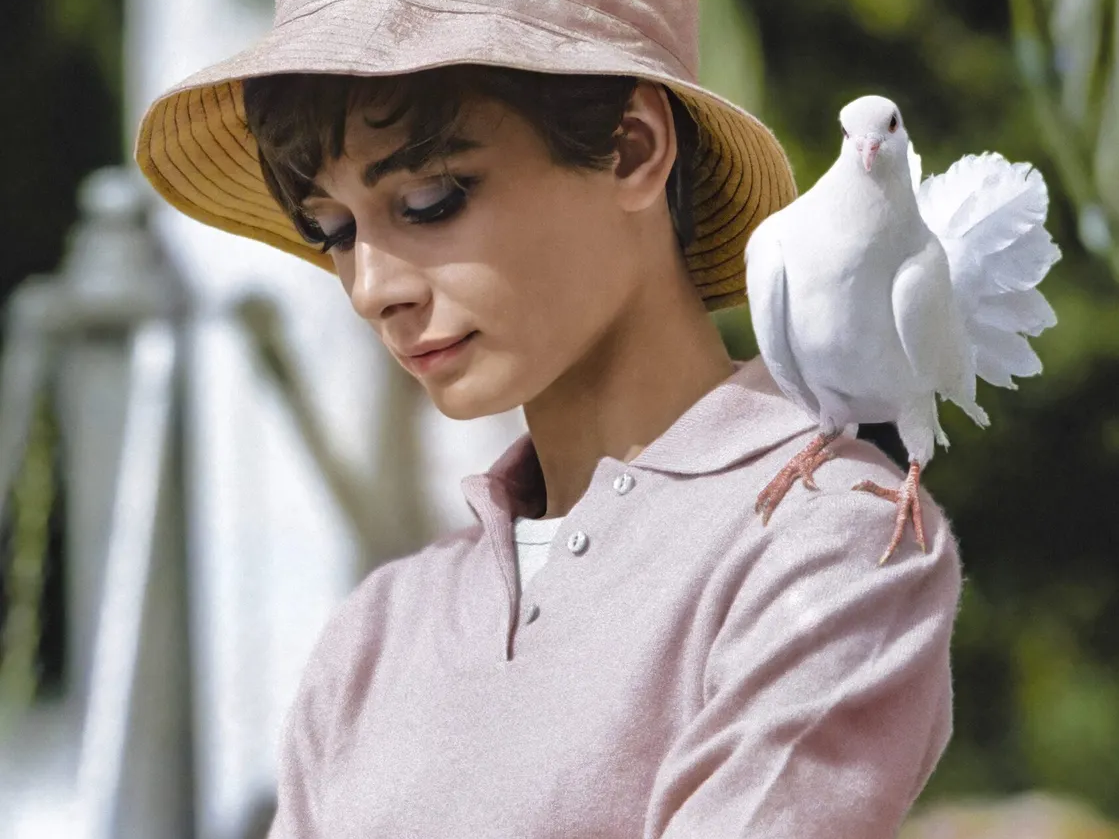 Colorized photograph of Audrey Hepburn with a dove on her shoulder, taken by Terry O’Neill in 1966 on the set of How to Steal a Million