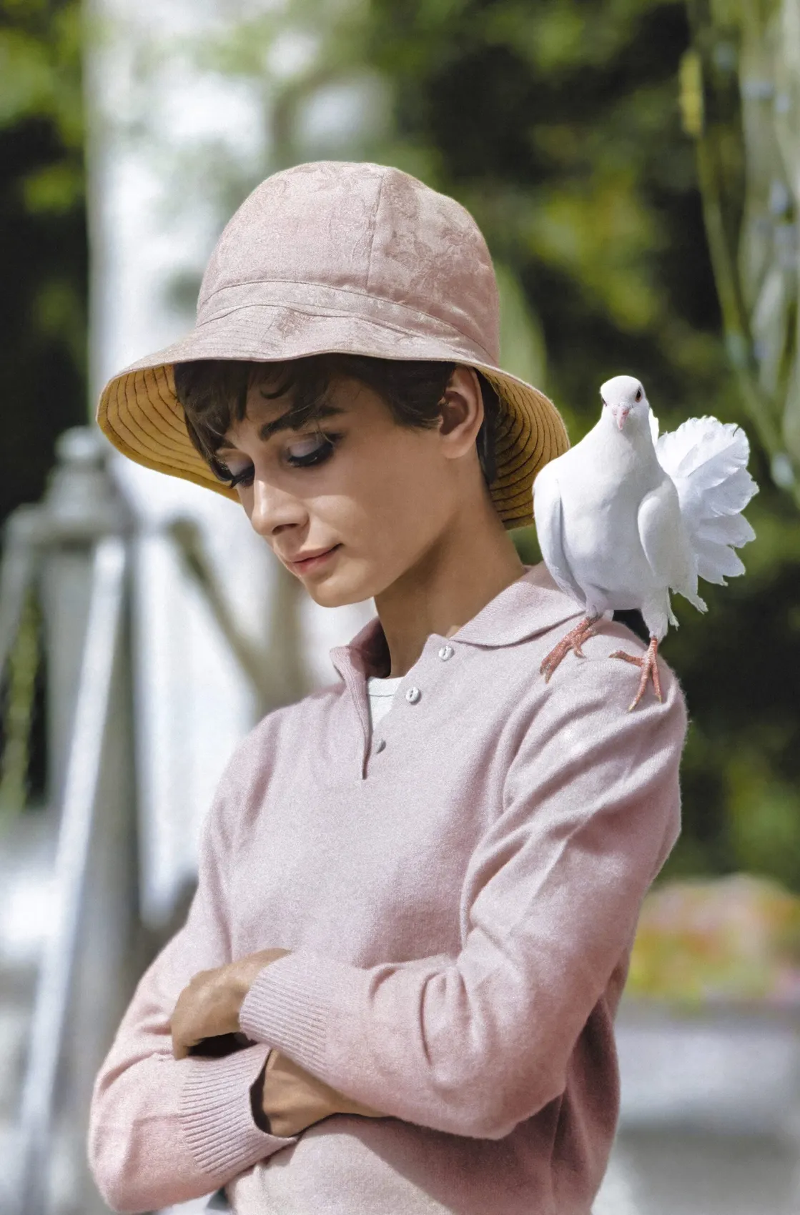 Colorized photograph of Audrey Hepburn with a dove on her shoulder, taken by Terry O’Neill in 1966 on the set of How to Steal a Million