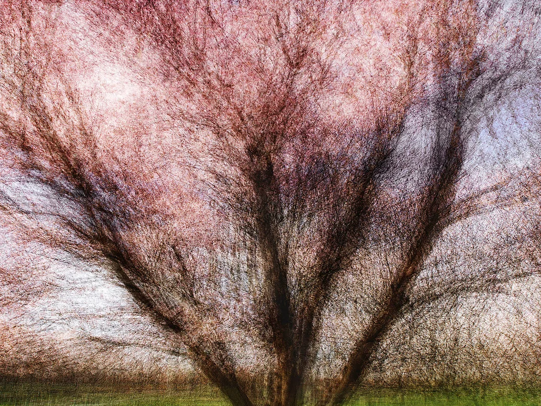 Aarhus #2 - Jacob Gils - Award Winning Danish Photographer - Hilton Contemporary