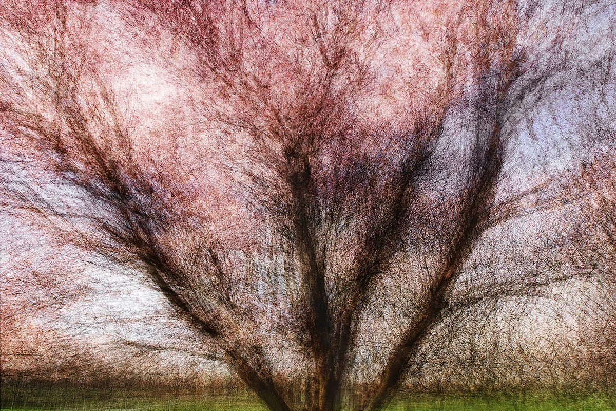 Aarhus #2 - Jacob Gils - Award Winning Danish Photographer - Hilton Contemporary