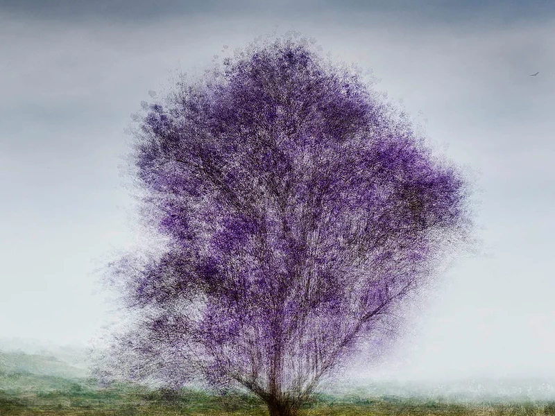 Cali #10 - Jacob Gils - Award Winning Danish Photographer - Hilton Contemporary