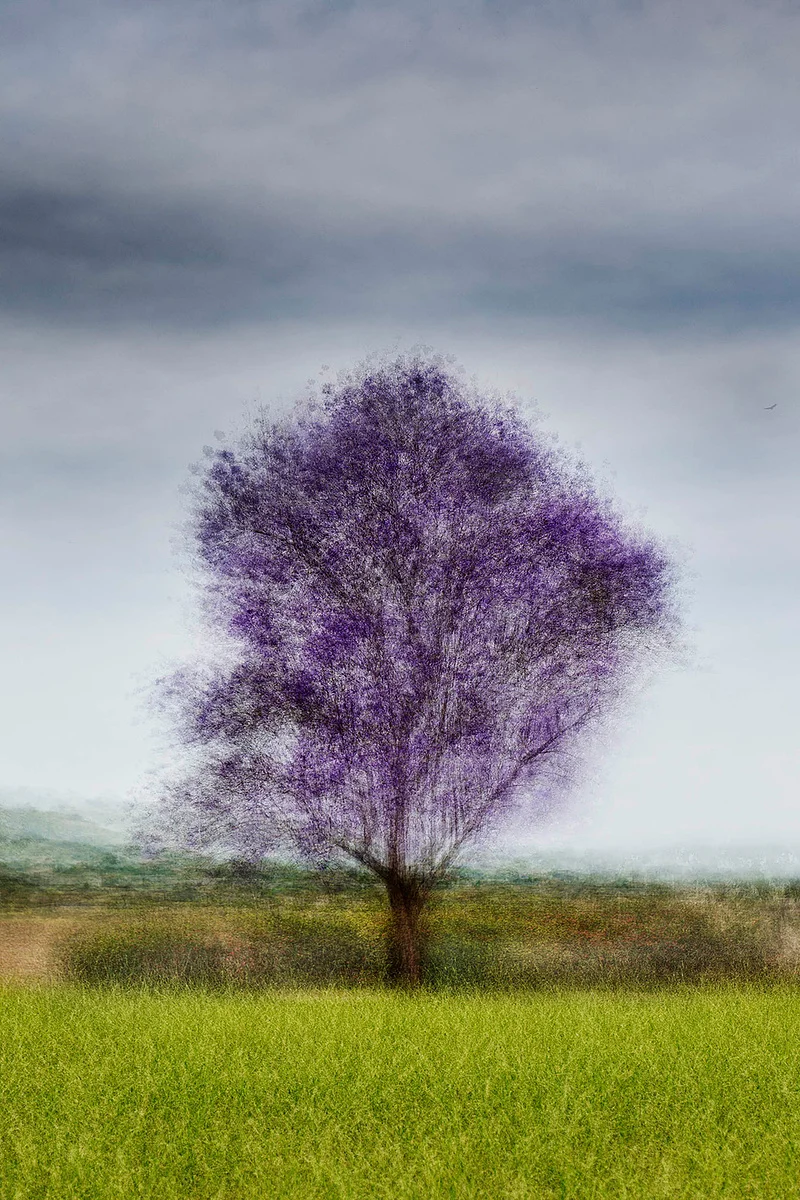 Cali #10 - Jacob Gils - Award Winning Danish Photographer - Hilton Contemporary