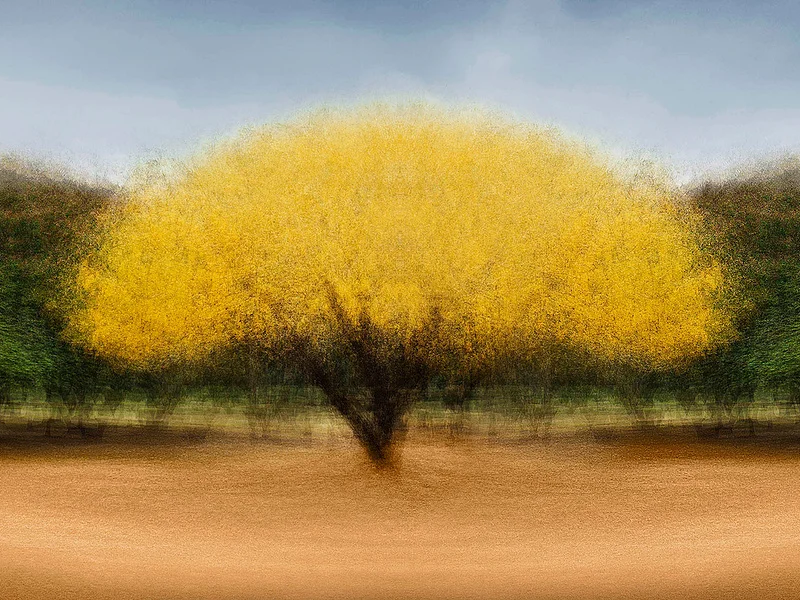 Cali #16 - Jacob Gils - Award Winning Danish Photographer - Hilton Contemporary