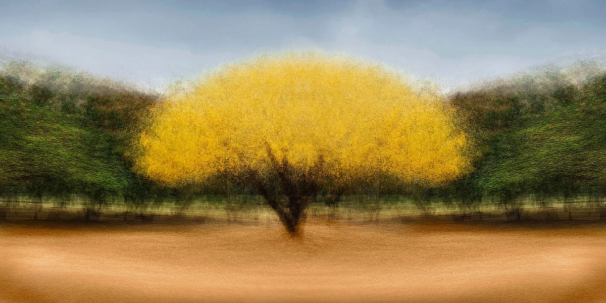 Cali #16 - Jacob Gils - Award Winning Danish Photographer - Hilton Contemporary