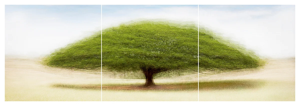 Cali #8 Triptych - Jacob Gils - Award Winning Danish Photographer - Hilton Contemporary