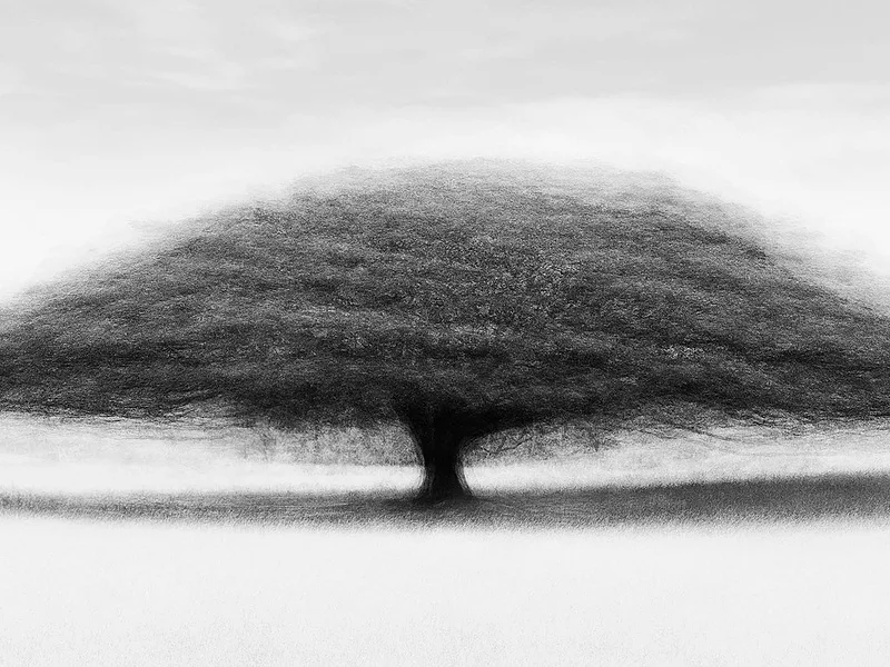 Cali #8 (b&w) - Jacob Gils - Award Winning Danish Photographer - Hilton Contemporary