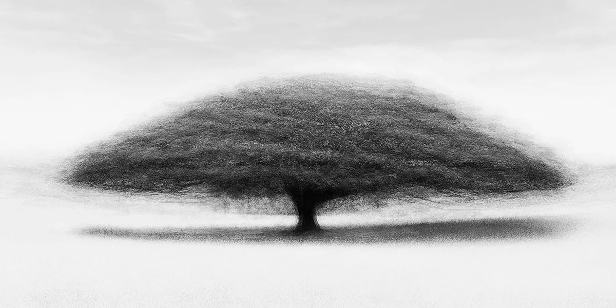 Cali #8 (b&w) - Jacob Gils - Award Winning Danish Photographer - Hilton Contemporary