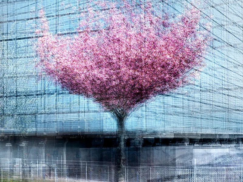 Copenhagen #26 - Jacob Gils - Award Winning Danish Photographer - Hilton Contemporary