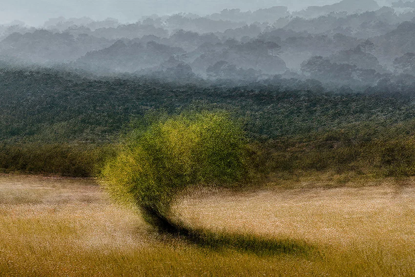 Es Capdella #4 - Jacob Gils - Award Winning Danish Photographer - Hilton Contemporary