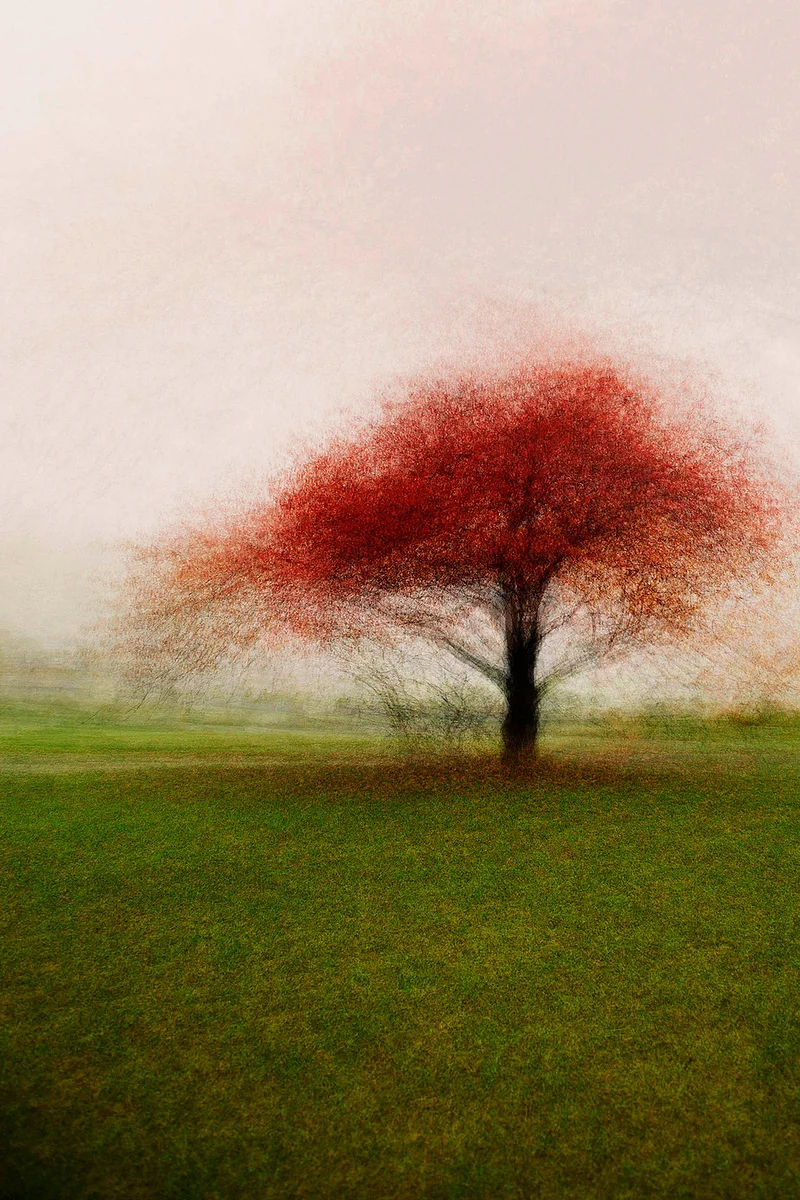 Frederiksdal #1 - Jacob Gils - Award Winning Danish Photographer - Hilton Contemporary