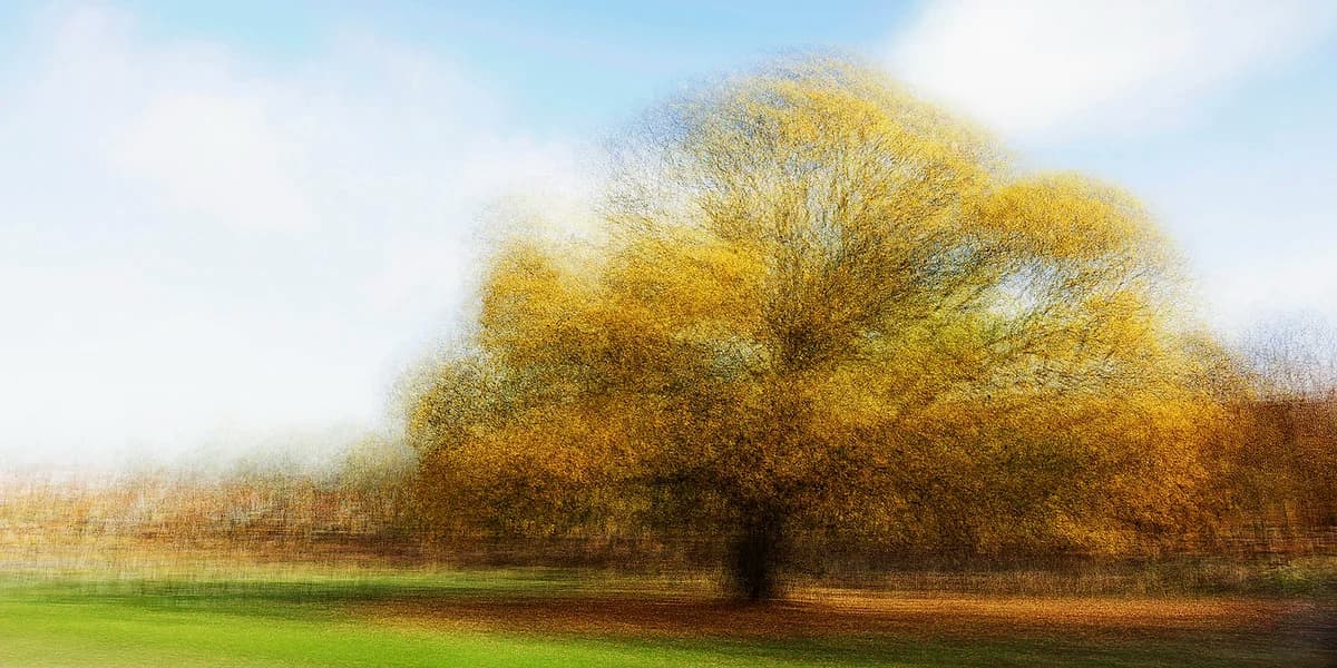 Hoersholm #1