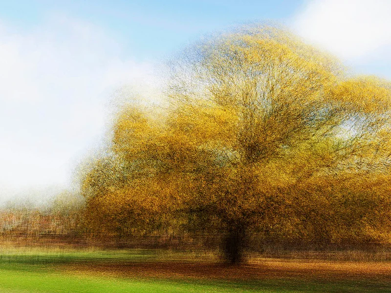 Hoersholm #1 - Jacob Gils - Award Winning Danish Photographer - Hilton Contemporary