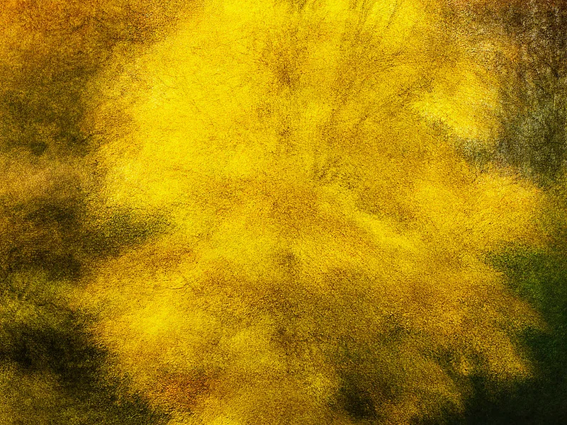 Hoersholm #4 - Jacob Gils - Award Winning Danish Photographer - Hilton Contemporary