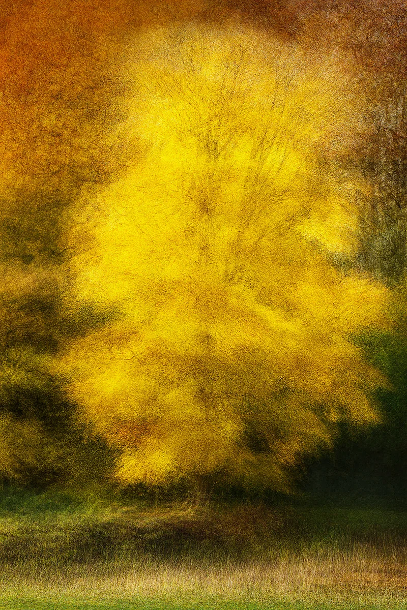 Hoersholm #4 - Jacob Gils - Award Winning Danish Photographer - Hilton Contemporary