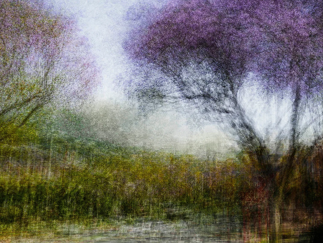 LA #1 - Jacob Gils - Award Winning Danish Photographer - Hilton Contemporary