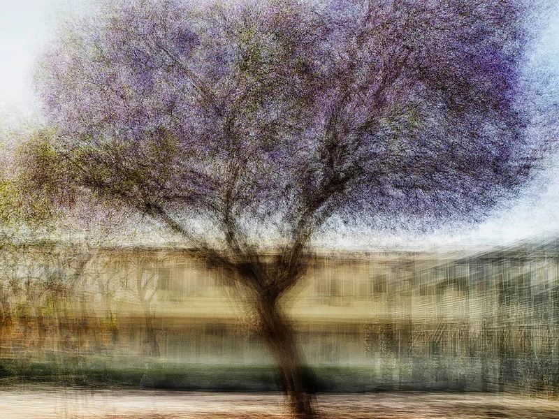 LA #3 - Jacob Gils - Award Winning Danish Photographer - Hilton Contemporary