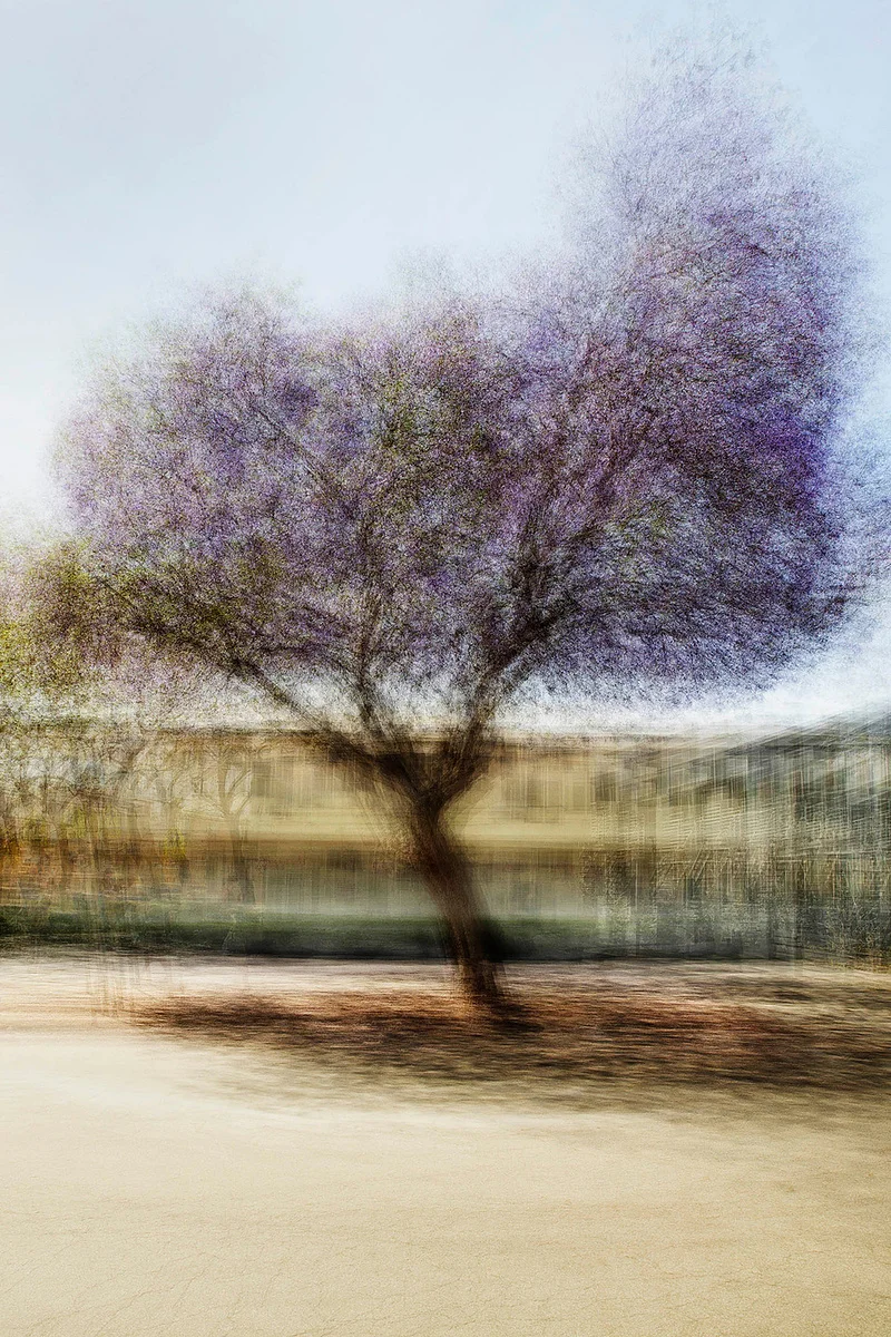 LA #3 - Jacob Gils - Award Winning Danish Photographer - Hilton Contemporary