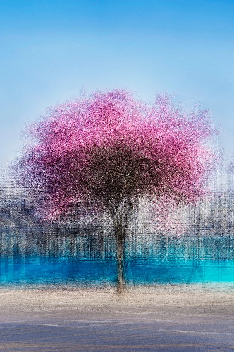 LA #4 - Jacob Gils - Award Winning Danish Photographer - Hilton Contemporary