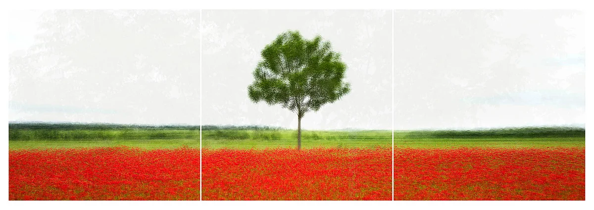 Lejre #4 Triptych - Jacob Gils - Award Winning Danish Photographer - Hilton Contemporary